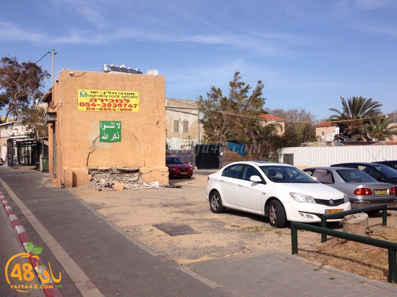 ard yefet 133 (3).JPG